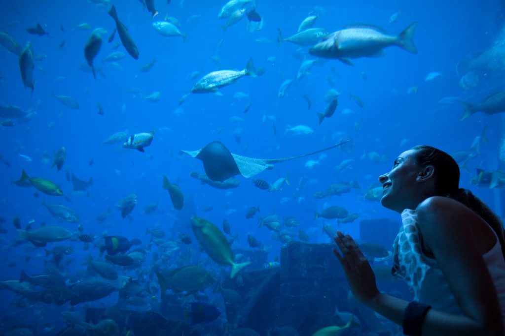 Dubai Aquarium